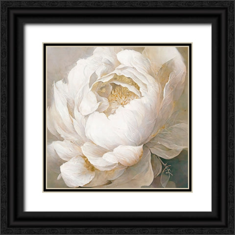 Peony Poses I Black Ornate Wood Framed Art Print with Double Matting by Sasha
