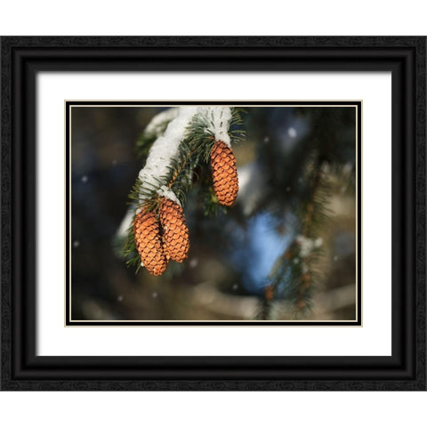 Cocottes Black Ornate Wood Framed Art Print with Double Matting by Bonin, Suzanne