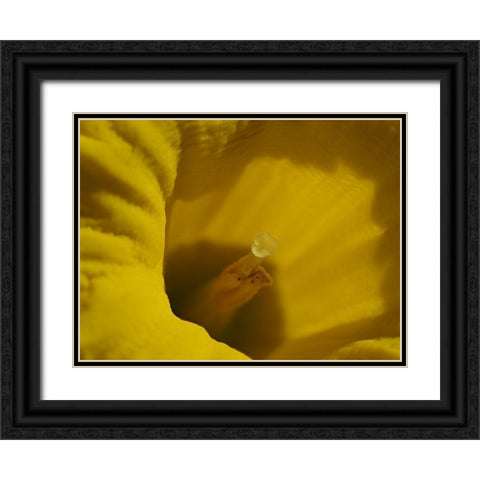 Daffodil Stigma Black Ornate Wood Framed Art Print with Double Matting by Bonin, Suzanne
