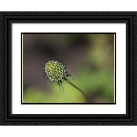 Mournful Widow Black Ornate Wood Framed Art Print with Double Matting by Bonin, Suzanne