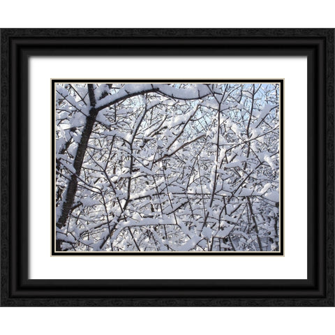 Still Winter Black Ornate Wood Framed Art Print with Double Matting by Bonin, Suzanne