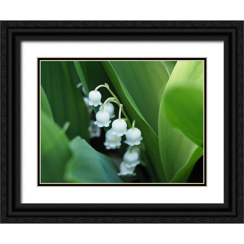 Clochettes Black Ornate Wood Framed Art Print with Double Matting by Bonin, Suzanne