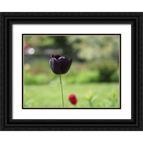 Dark Beauty Black Ornate Wood Framed Art Print with Double Matting by Bonin, Suzanne
