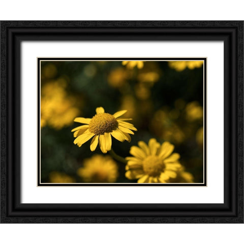 Dreamy Black Ornate Wood Framed Art Print with Double Matting by Bonin, Suzanne