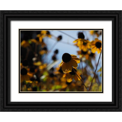 In Nature Black Ornate Wood Framed Art Print with Double Matting by Bonin, Suzanne