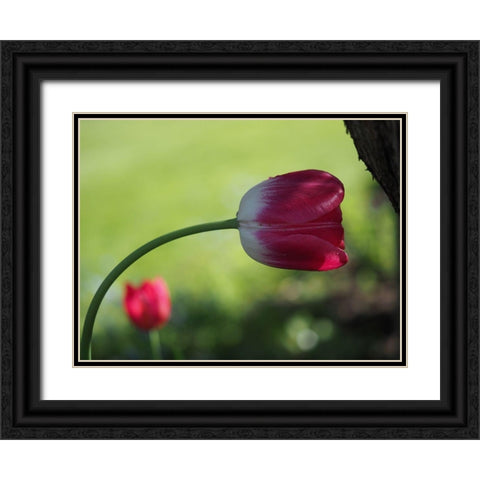 Leaning Black Ornate Wood Framed Art Print with Double Matting by Bonin, Suzanne