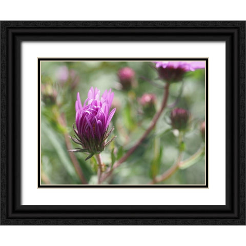 Nonchalant Beauty Black Ornate Wood Framed Art Print with Double Matting by Bonin, Suzanne