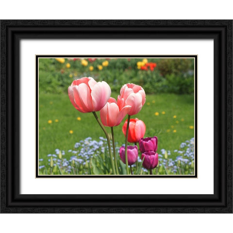 Nuances Black Ornate Wood Framed Art Print with Double Matting by Bonin, Suzanne