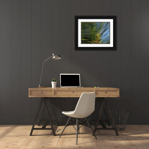 One Drop Black Ornate Wood Framed Art Print with Double Matting by Bonin, Suzanne