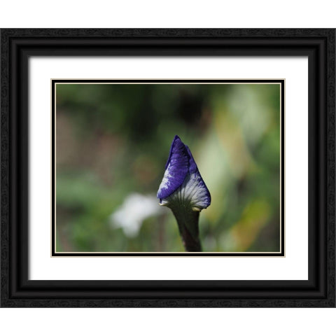 Opening Up Black Ornate Wood Framed Art Print with Double Matting by Bonin, Suzanne