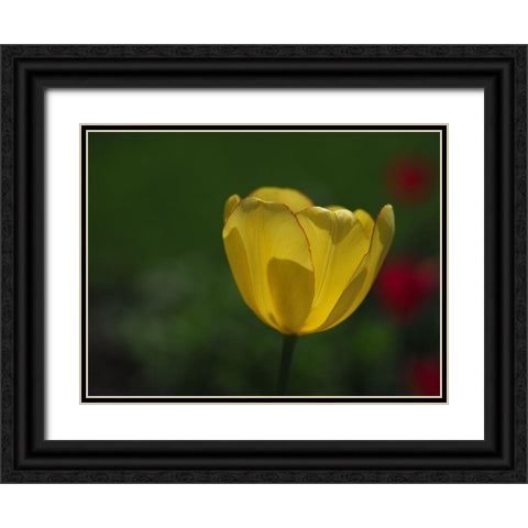 Pretty Lady Black Ornate Wood Framed Art Print with Double Matting by Bonin, Suzanne