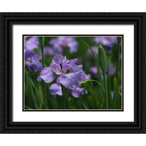 Purple One Black Ornate Wood Framed Art Print with Double Matting by Bonin, Suzanne