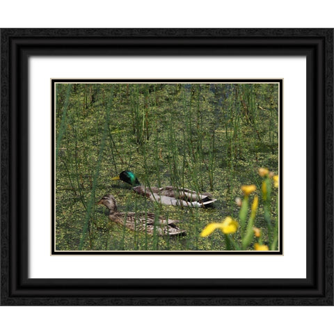 Sauve Qui Peut Black Ornate Wood Framed Art Print with Double Matting by Bonin, Suzanne