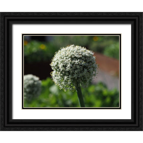 Sphere Black Ornate Wood Framed Art Print with Double Matting by Bonin, Suzanne