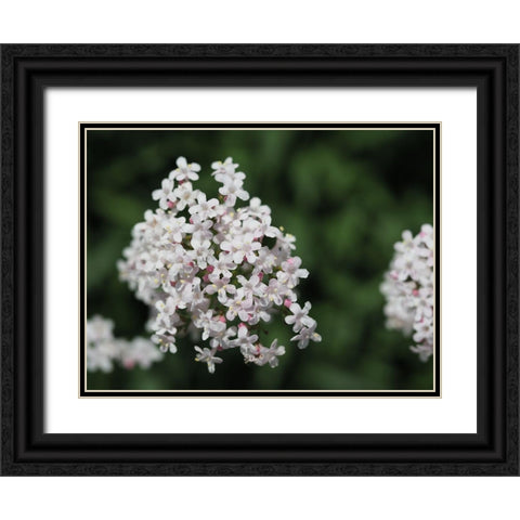 Spicy Black Ornate Wood Framed Art Print with Double Matting by Bonin, Suzanne