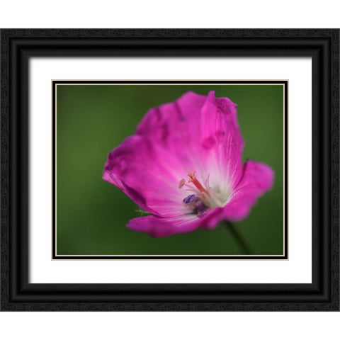 The Heart Of It Black Ornate Wood Framed Art Print with Double Matting by Bonin, Suzanne