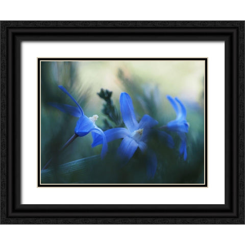Broken Black Ornate Wood Framed Art Print with Double Matting by Bonin, Suzanne