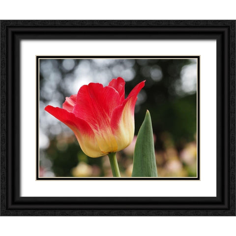 Happy One Black Ornate Wood Framed Art Print with Double Matting by Bonin, Suzanne