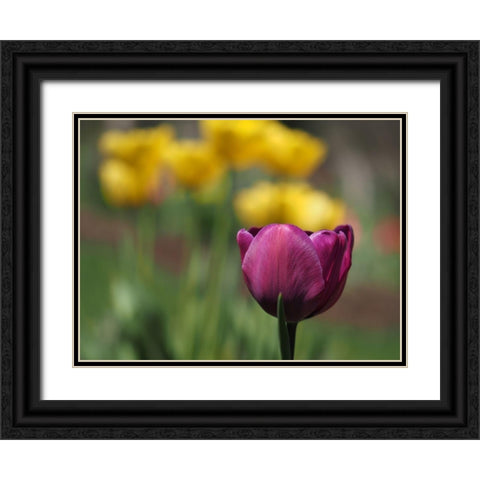 Hello Ladies Black Ornate Wood Framed Art Print with Double Matting by Bonin, Suzanne