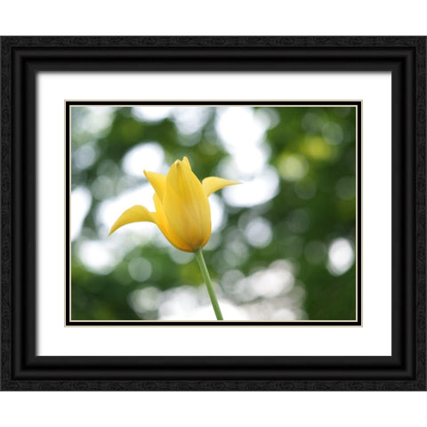 Lady In Yellow Black Ornate Wood Framed Art Print with Double Matting by Bonin, Suzanne