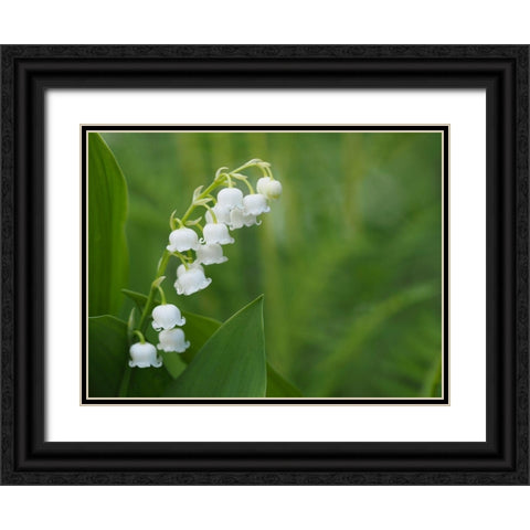 Muguet Black Ornate Wood Framed Art Print with Double Matting by Bonin, Suzanne