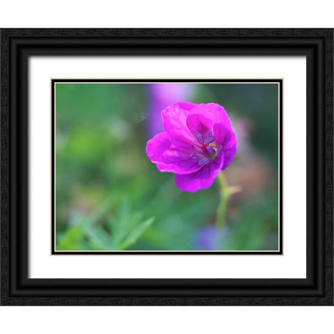 Little Bead Black Ornate Wood Framed Art Print with Double Matting by Bonin, Suzanne