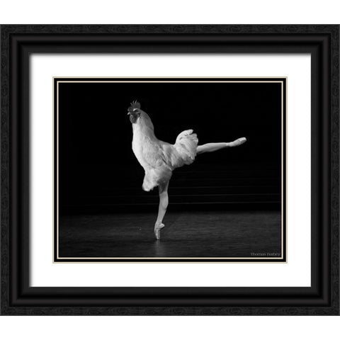 Beautiful Cock Black Ornate Wood Framed Art Print with Double Matting by Barbey, Thomas