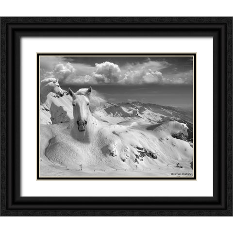 Icy Studs Black Ornate Wood Framed Art Print with Double Matting by Barbey, Thomas