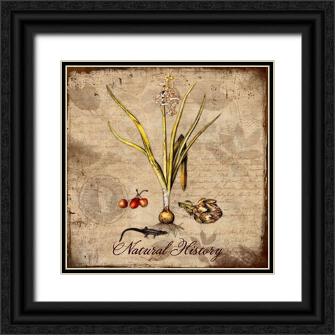 Natural History Black Ornate Wood Framed Art Print with Double Matting by Lavoie, Tina