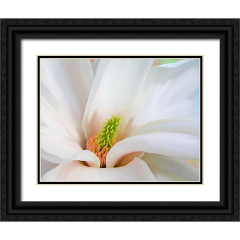 Magnoliaceae Black Ornate Wood Framed Art Print with Double Matting by Lavoie, Tina