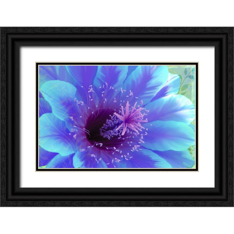 Paradisum Black Ornate Wood Framed Art Print with Double Matting by Lavoie, Tina