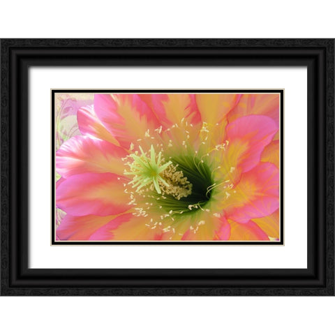 Paradisum II Black Ornate Wood Framed Art Print with Double Matting by Lavoie, Tina