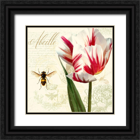 Natural History Sketchbook II Black Ornate Wood Framed Art Print with Double Matting by Lavoie, Tina