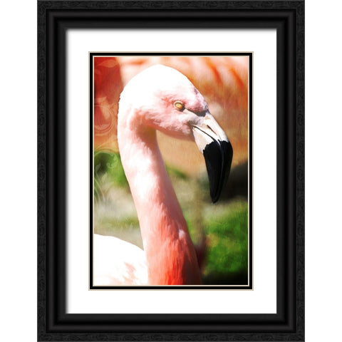 Pink Flamingo I Black Ornate Wood Framed Art Print with Double Matting by Lavoie, Tina