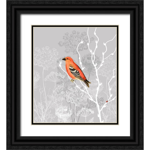 Queen Ann Morning Black Ornate Wood Framed Art Print with Double Matting by Lavoie, Tina
