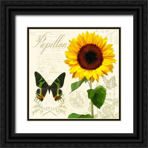 Natural History Sketchbook III Black Ornate Wood Framed Art Print with Double Matting by Lavoie, Tina