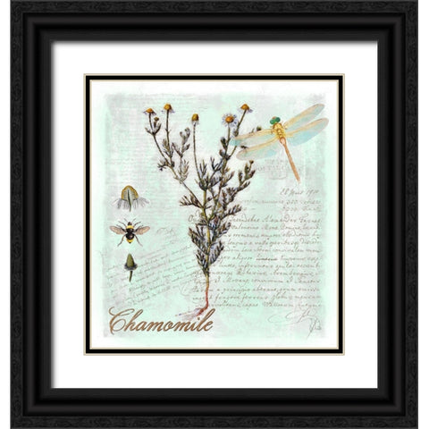 Chamomile Herb Black Ornate Wood Framed Art Print with Double Matting by Lavoie, Tina