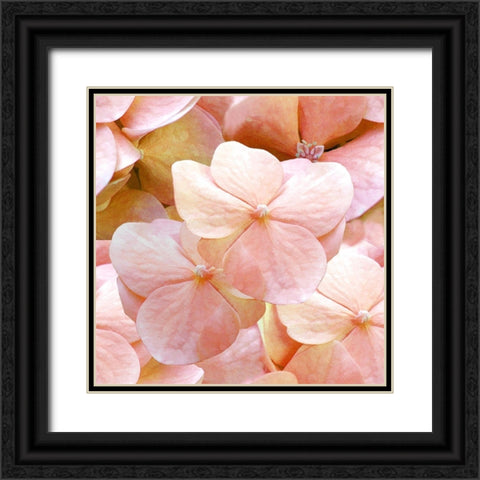 Innocence Pattern Black Ornate Wood Framed Art Print with Double Matting by Lavoie, Tina