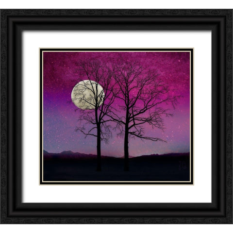 Solitude II Black Ornate Wood Framed Art Print with Double Matting by Lavoie, Tina