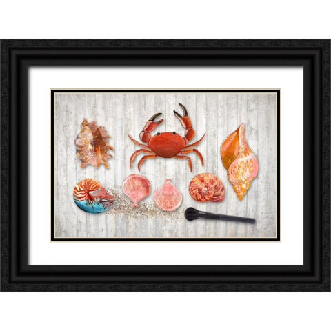 Marine Biology Black Ornate Wood Framed Art Print with Double Matting by Lavoie, Tina