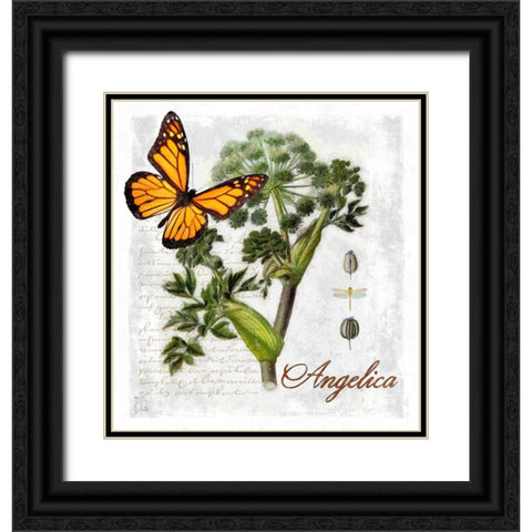 Botanical Gardern Angelica Herb Black Ornate Wood Framed Art Print with Double Matting by Lavoie, Tina