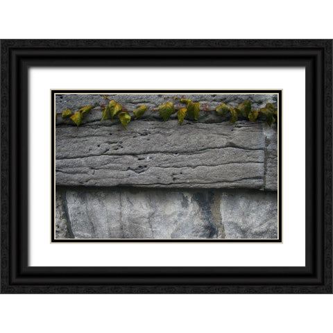Old Montreal Ancient Wall and Ivy 2 Black Ornate Wood Framed Art Print with Double Matting by Lavoie, Tina