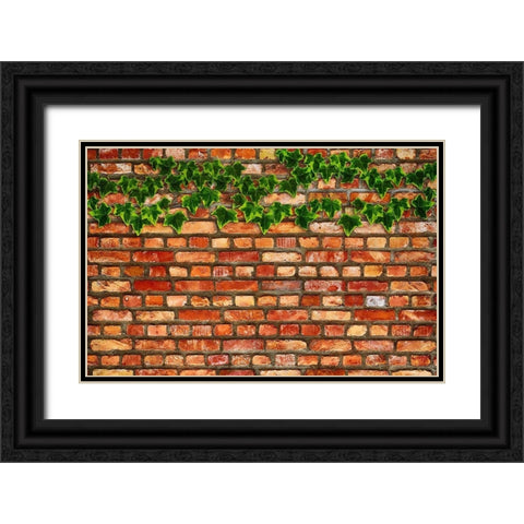 Brick Wall and Ivy Black Ornate Wood Framed Art Print with Double Matting by Lavoie, Tina