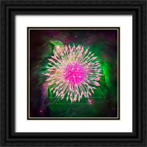 Untitled 33 Black Ornate Wood Framed Art Print with Double Matting by Lavoie, Tina