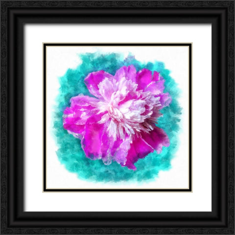 Pinky Black Ornate Wood Framed Art Print with Double Matting by Lavoie, Tina