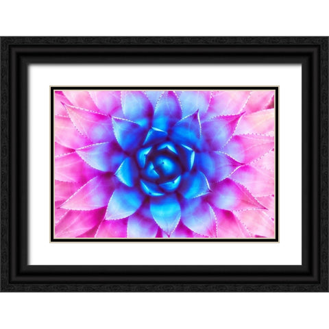 Agave Sunset Black Ornate Wood Framed Art Print with Double Matting by Lavoie, Tina