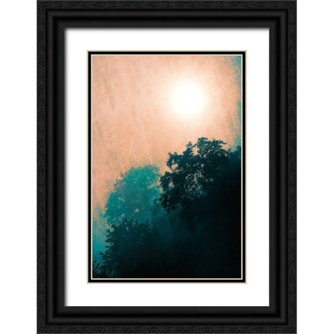 Jungle Canopy At Sunset Black Ornate Wood Framed Art Print with Double Matting by Lavoie, Tina