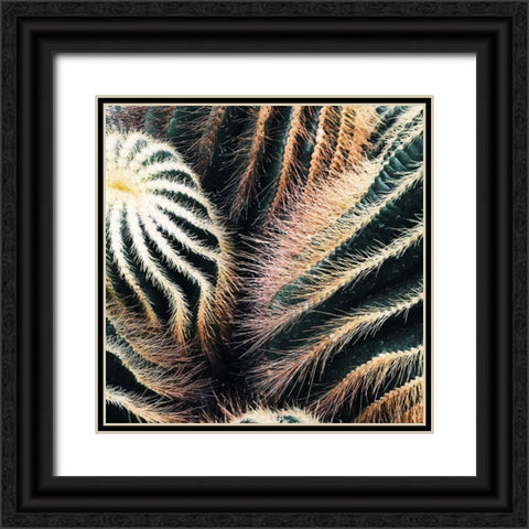 Cactus Black Ornate Wood Framed Art Print with Double Matting by Lavoie, Tina