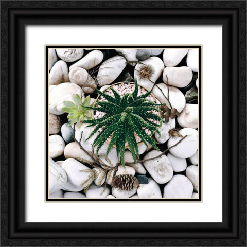 Succulent Summer Black Ornate Wood Framed Art Print with Double Matting by Lavoie, Tina