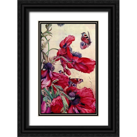 Poppy Nature Study 1917 Black Ornate Wood Framed Art Print with Double Matting by Lavoie, Tina
